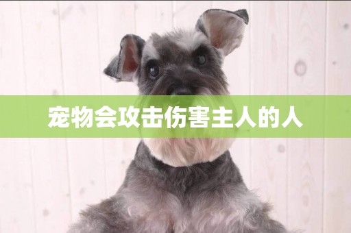寵物會攻擊傷害主人的人