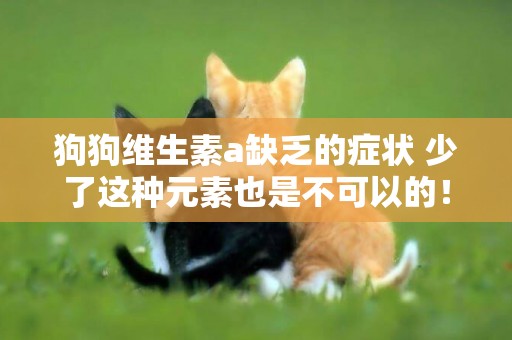 狗狗維生素a缺乏的癥狀 少了這種元素也是不可以的! 狗狗維生素a缺乏的癥狀 少了這種元素也是不可以的!