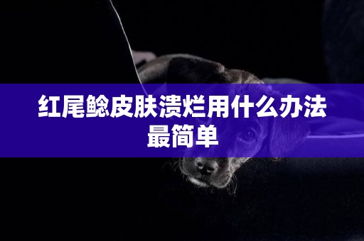 紅尾鯰皮膚潰爛用什么辦法最簡單