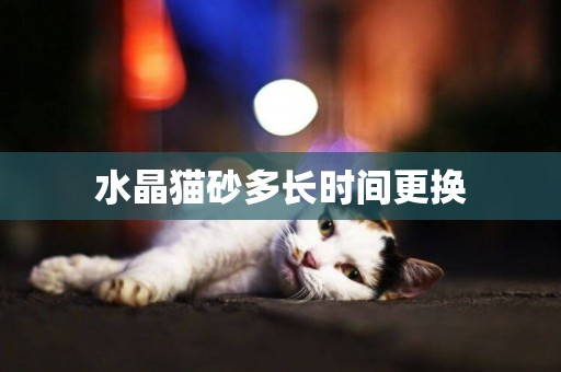 水晶貓砂多長時間更換