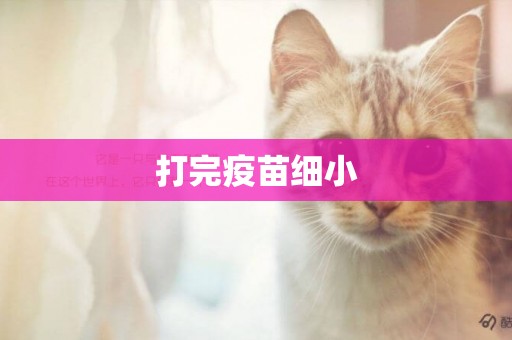 打完疫苗細小