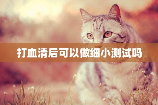 打血清后可以做細小測試嗎