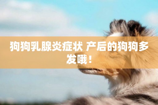 狗狗乳腺炎癥狀 產后的狗狗多發哦！