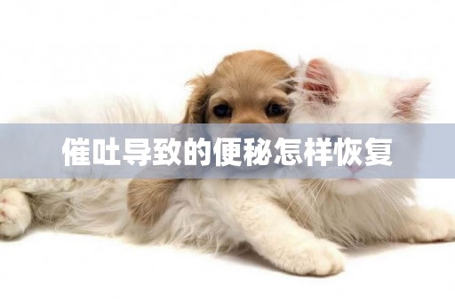 催吐導致的便秘怎樣恢復