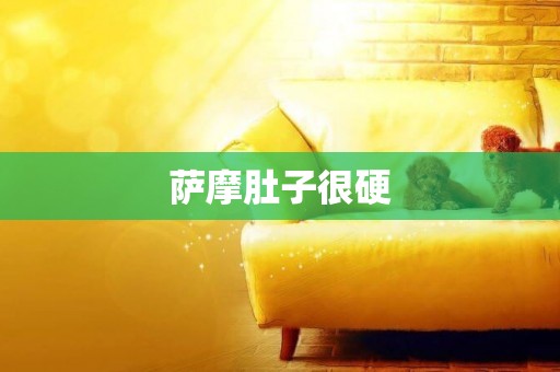 薩摩肚子很硬