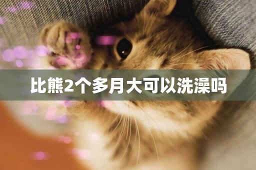 比熊2個多月大可以洗澡嗎