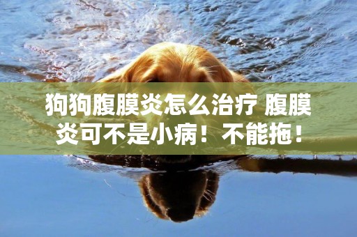 狗狗腹膜炎怎么治療 腹膜炎可不是小病！不能拖！