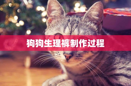 狗狗生理褲制作過程