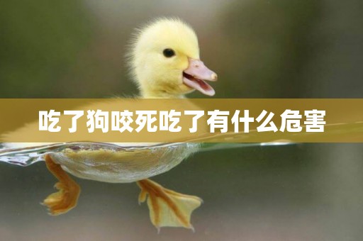 吃了狗咬死吃了有什么危害