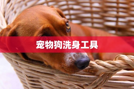 寵物狗洗身工具