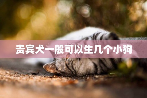 貴賓犬一般可以生幾個小狗