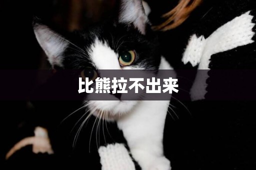 比熊拉不出來