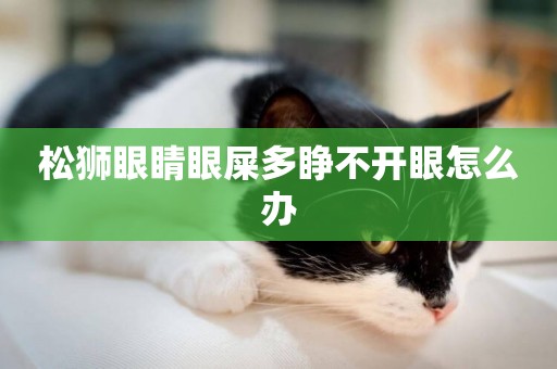 松獅眼睛眼屎多睜不開眼怎么辦