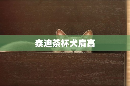 泰迪茶杯犬肩高