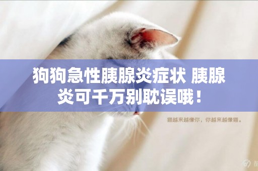 狗狗急性胰腺炎癥狀 胰腺炎可千萬別耽誤哦！