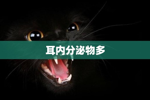 耳內分泌物多
