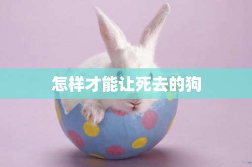 怎樣才能讓死去的狗