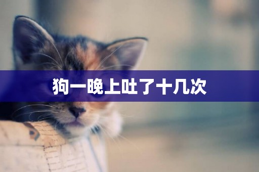 狗一晚上吐了十幾次