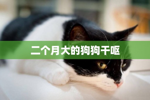 二個月大的狗狗干嘔