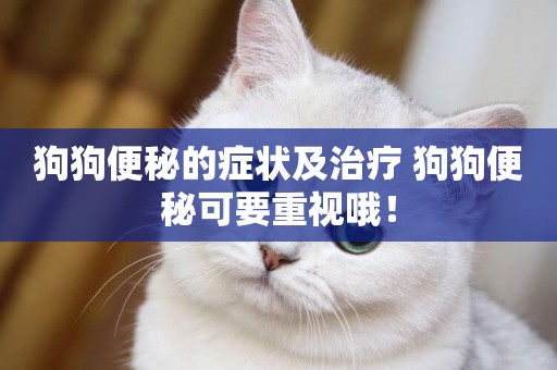 狗狗便秘的癥狀及治療 狗狗便秘可要重視哦！