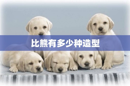 比熊有多少種造型