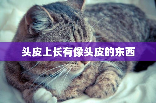 頭皮上長有像頭皮的東西
