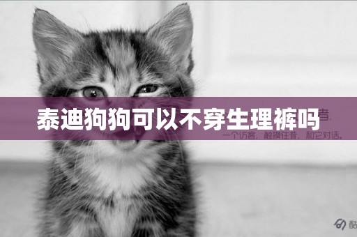 泰迪狗狗可以不穿生理褲嗎