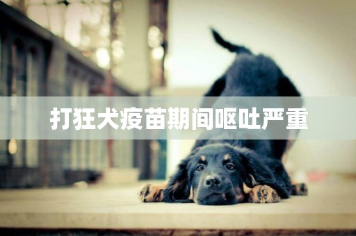 打狂犬疫苗期間嘔吐嚴重