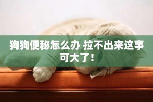 狗狗便秘怎么辦 拉不出來這事可大了！