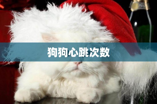 狗狗心跳次數