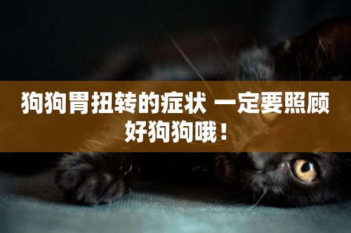 狗狗胃扭轉的癥狀 一定要照顧好狗狗哦！