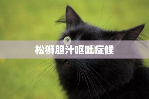 松獅膽汁嘔吐癥候