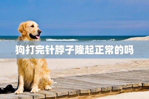 狗打完針脖子隆起正常的嗎
