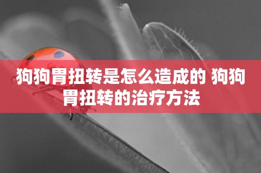 狗狗胃扭轉是怎么造成的 狗狗胃扭轉的治療方法