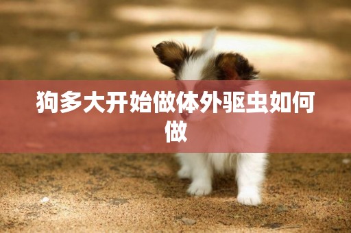 狗多大開始做體外驅蟲如何做