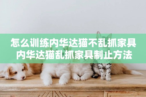 怎么訓練內華達貓不亂抓家具 內華達貓亂抓家具制止方法