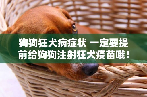 狗狗狂犬病癥狀 一定要提前給狗狗注射狂犬疫苗哦！
