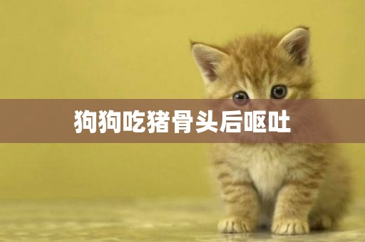 狗狗吃豬骨頭后嘔吐