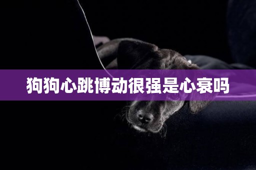 狗狗心跳博動很強是心衰嗎