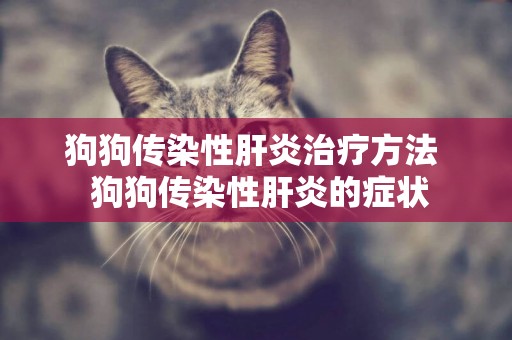 狗狗傳染性肝炎治療方法  狗狗傳染性肝炎的癥狀