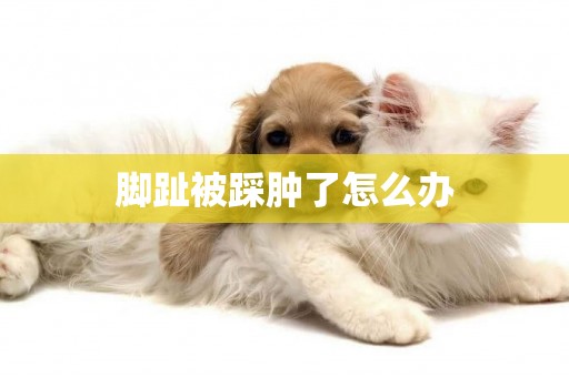 腳趾被踩腫了怎么辦