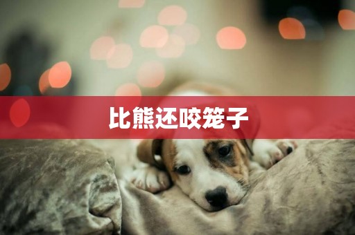 比熊還咬籠子