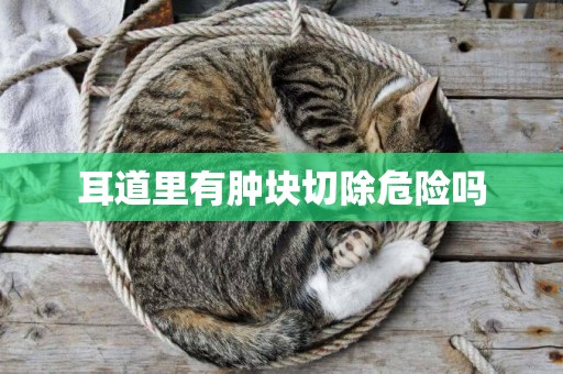 耳道里有腫塊切除危險嗎