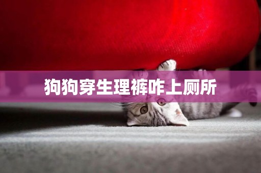 狗狗穿生理褲咋上廁所