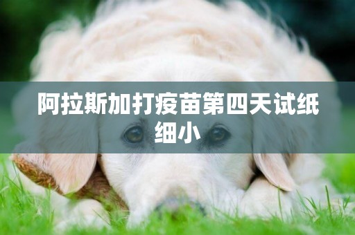 阿拉斯加打疫苗第四天試紙細小