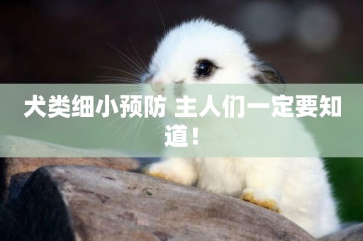 犬類細小預防 主人們一定要知道！