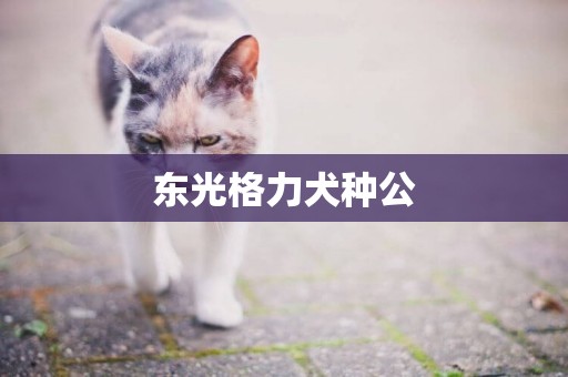 東光格力犬種公