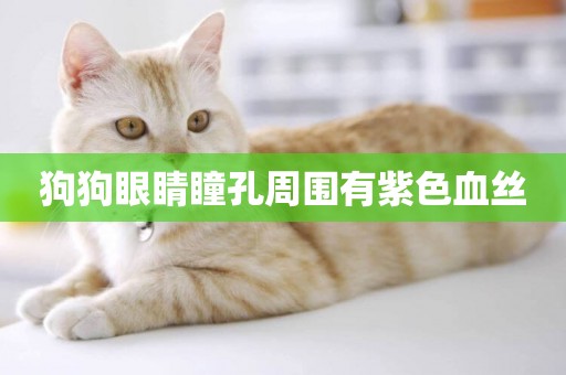 狗狗眼睛瞳孔周圍有紫色血絲