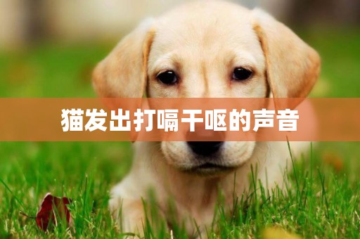 貓發出打嗝干嘔的聲音
