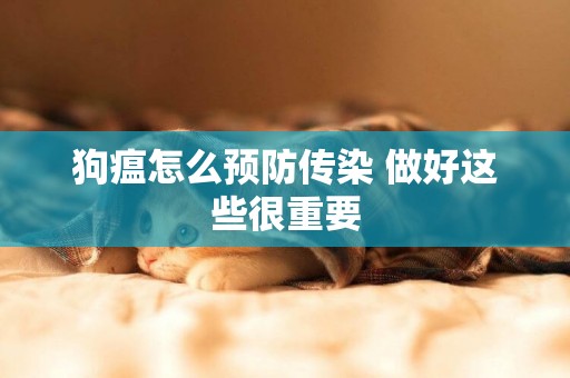 狗瘟怎么預防傳染 做好這些很重要